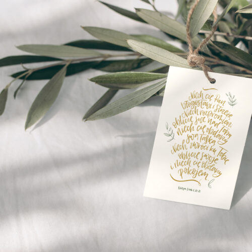 Blank paper gift tag, label mockup with rope and olive tree branch on white table background in sunlight. Summer sale, branding concept. Mediterranean design. Selective focus.