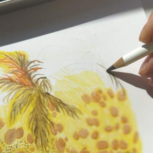 Screenshot_20251029_080143_Instagram