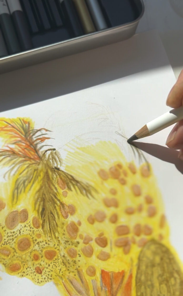 Screenshot_20251029_080143_Instagram