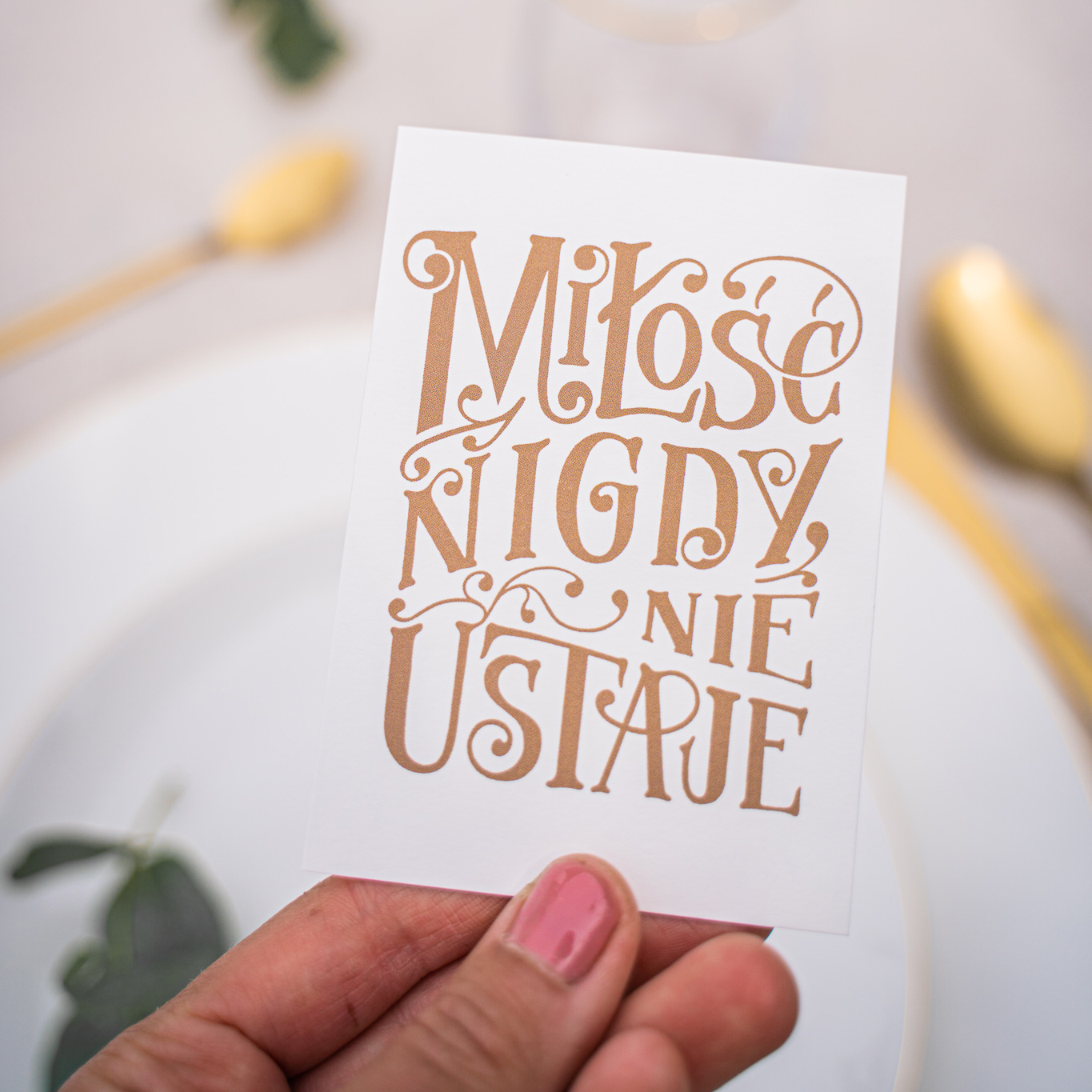 DSC02226-1.jpg DSC02226-1.jpg