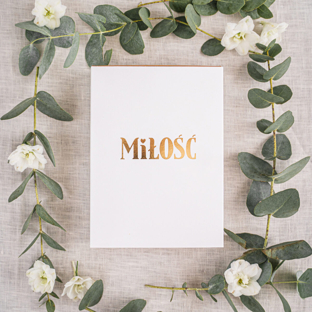 DSC02279.jpg DSC02279.jpg