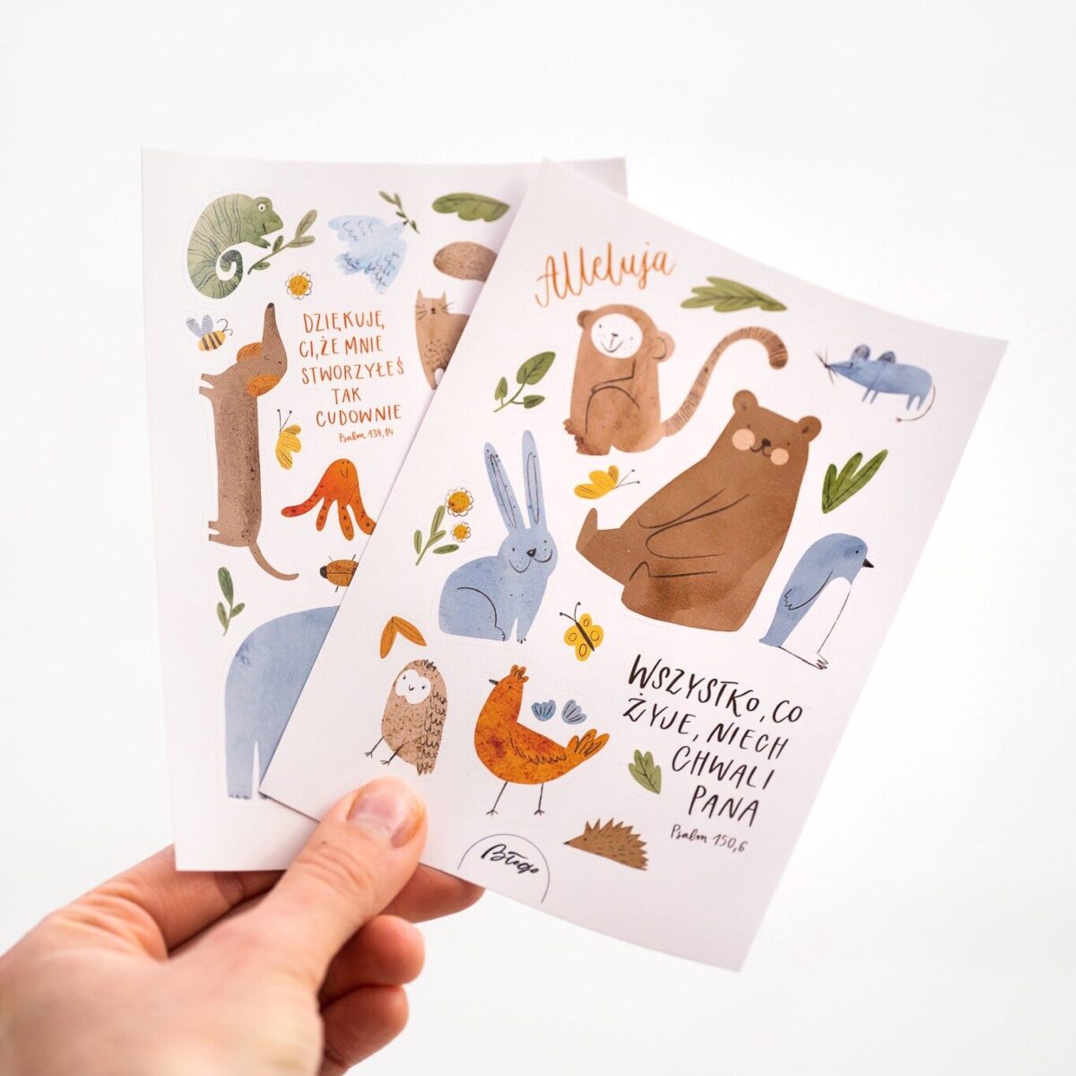 DSC04102.jpg DSC04102.jpg