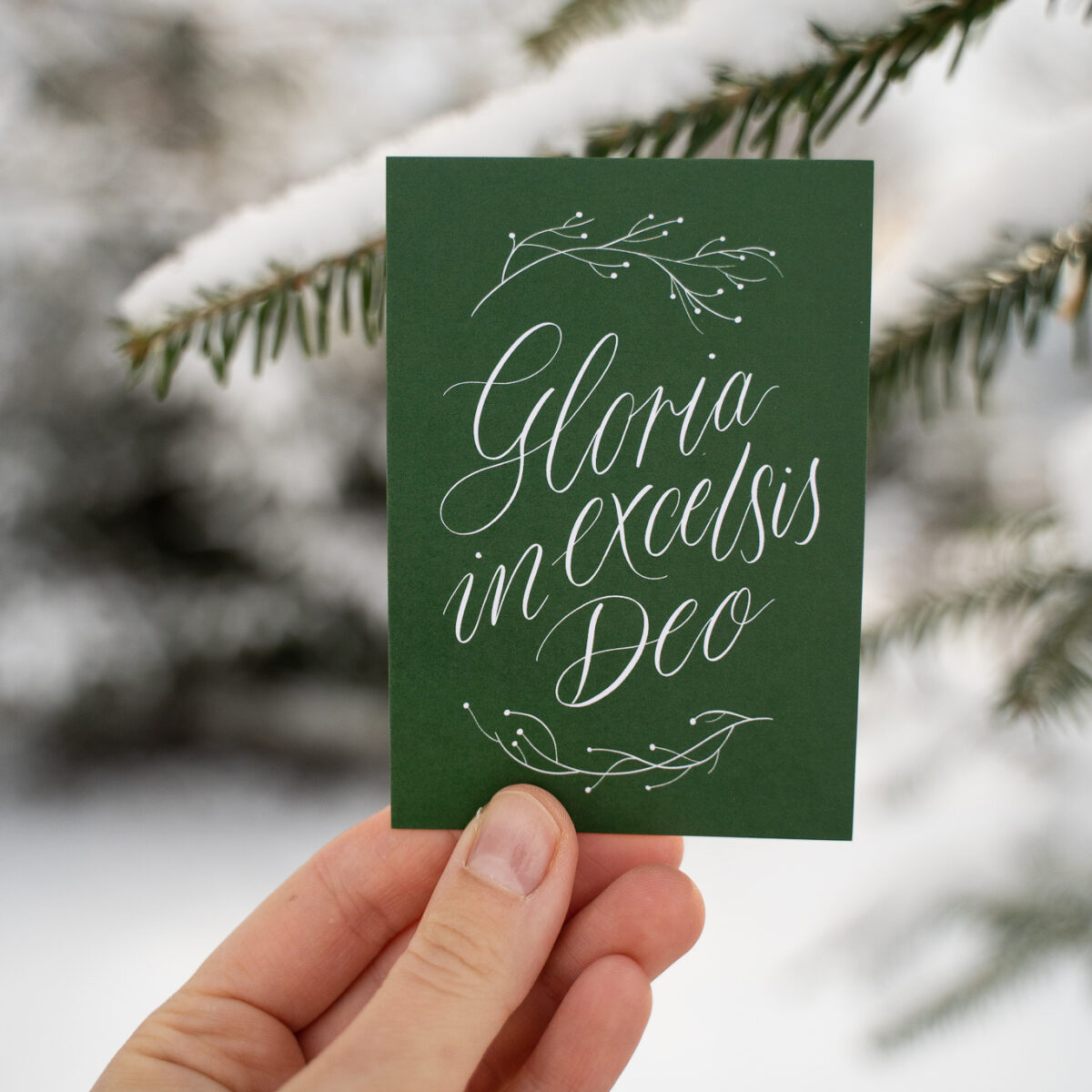 DSC07521_2.jpg DSC07521_2.jpg