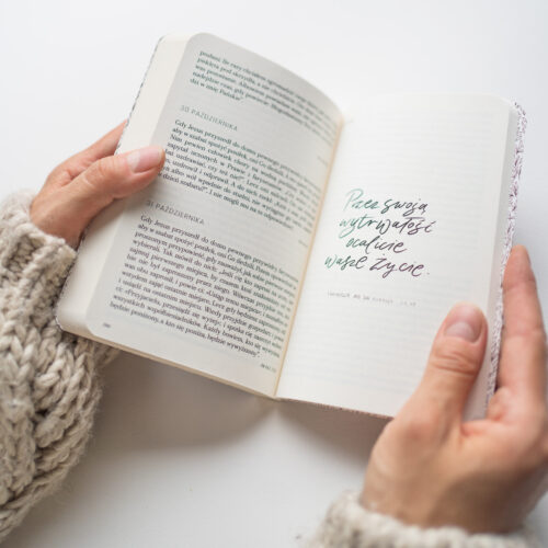 DSC04657-2 DSC04657-2